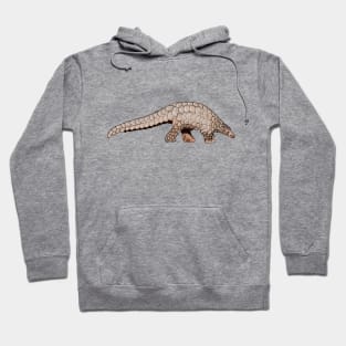 Pangolin cartoon illustration Hoodie